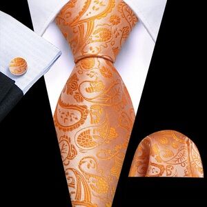 Elegant Orange Paisley Tie Set